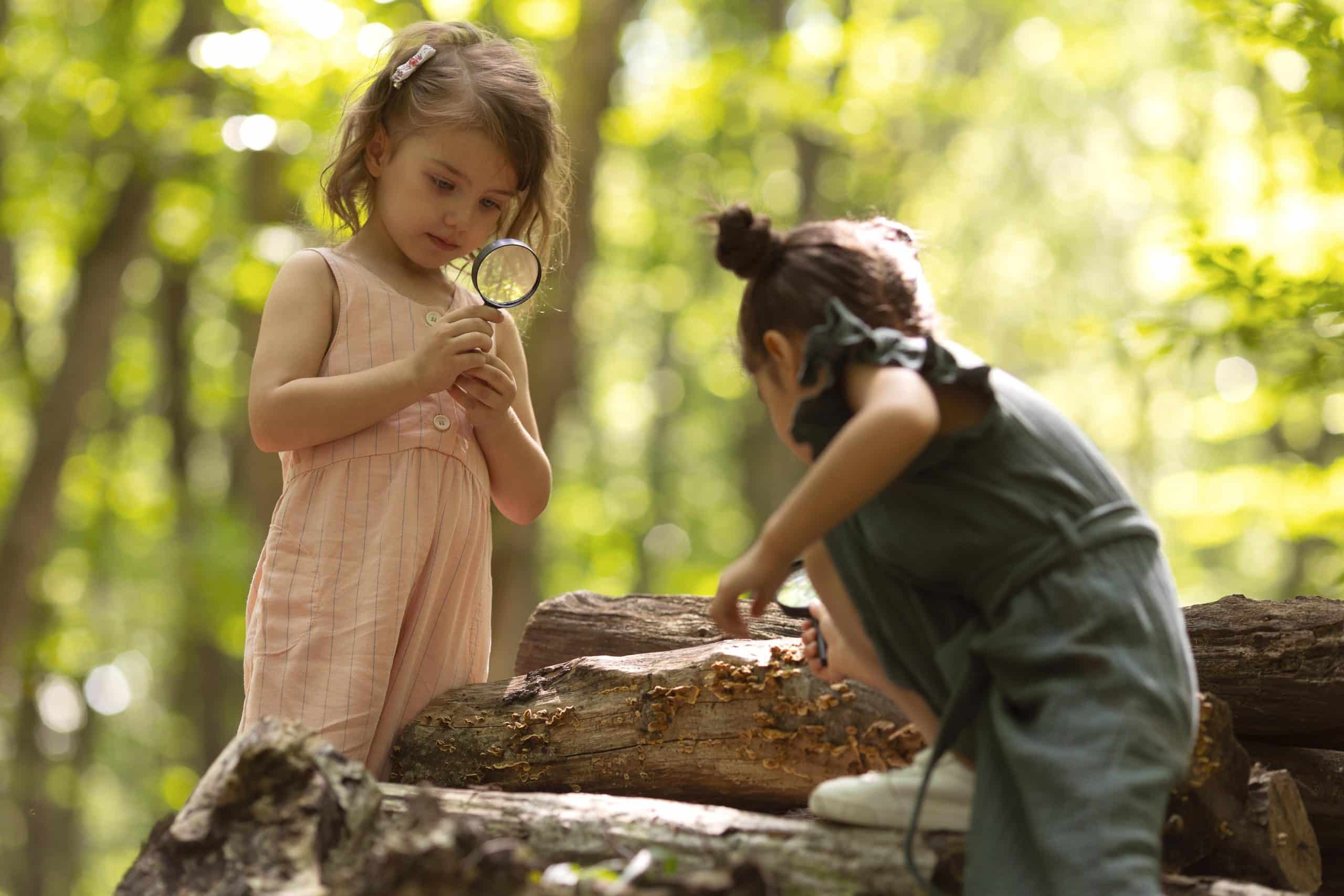 enfants curieux en forêt